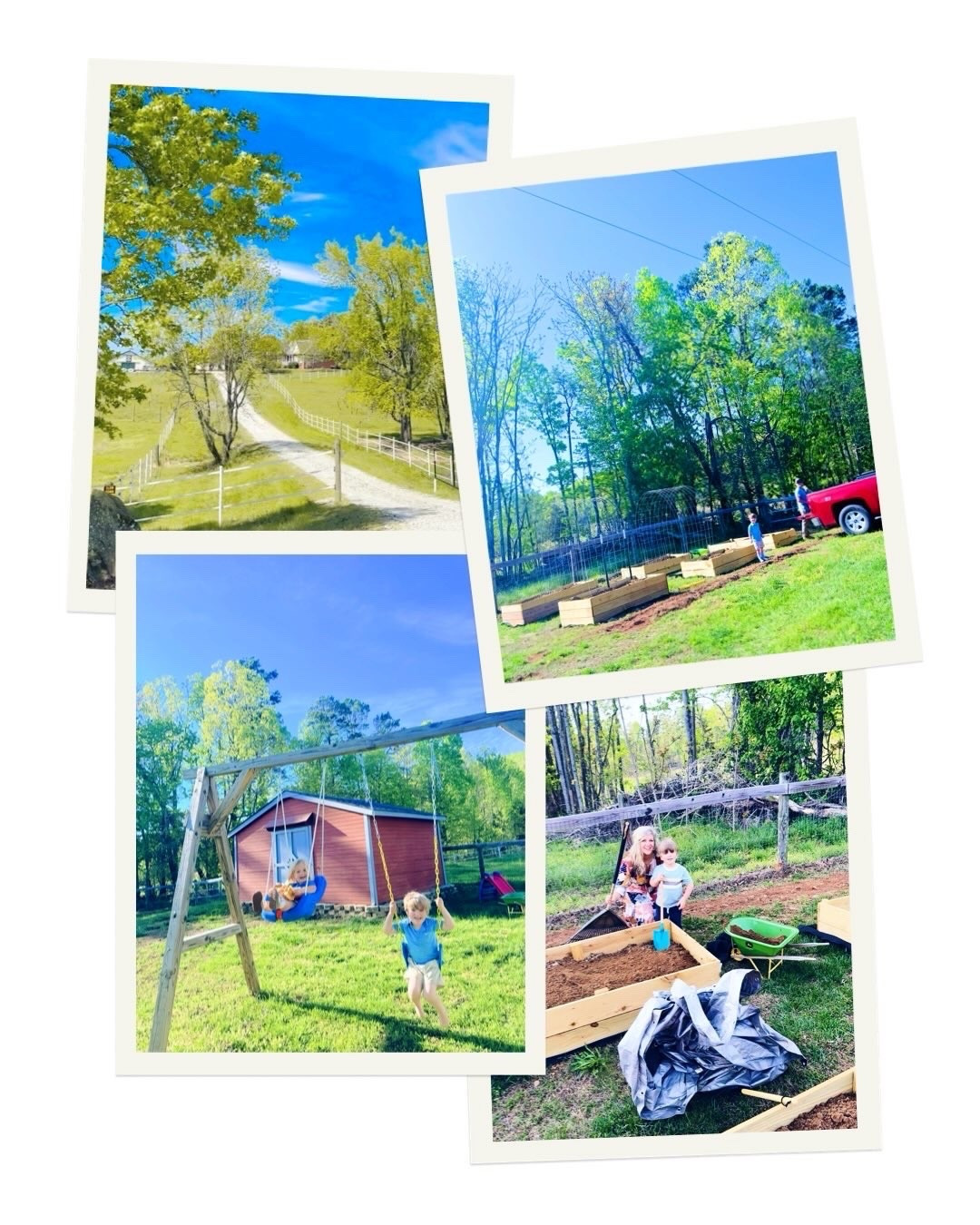 l i f e  l a t e l y 🌱🧺🚜🌅🪴🌼🐓📖🪻🐴💭🌸🎨📚🪿 #camerarollfromtheweek #lifeonthefarm #farmhouseonthehill #themabryfarm #happyfridayyall 