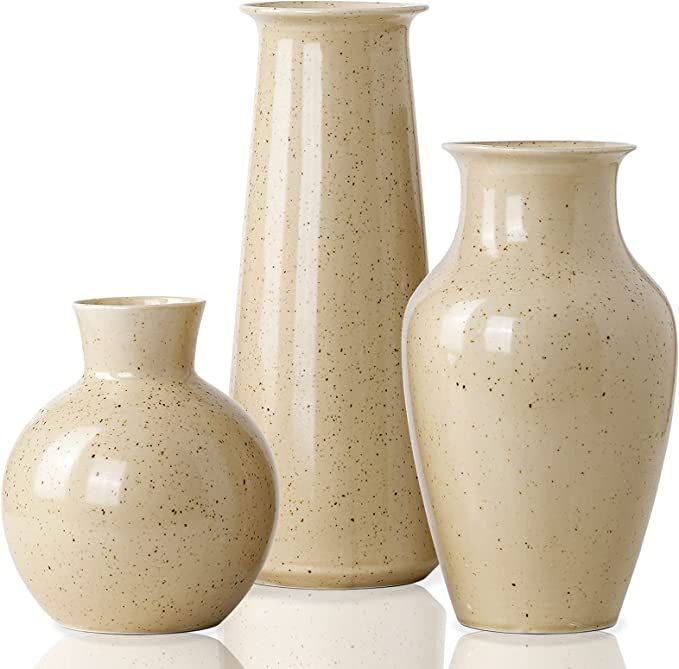 JDZMYF Modern Ceramic Vase for Decor Living Room Floor, Rustic Farmhouse Decor for The Home Small... | Amazon (US)