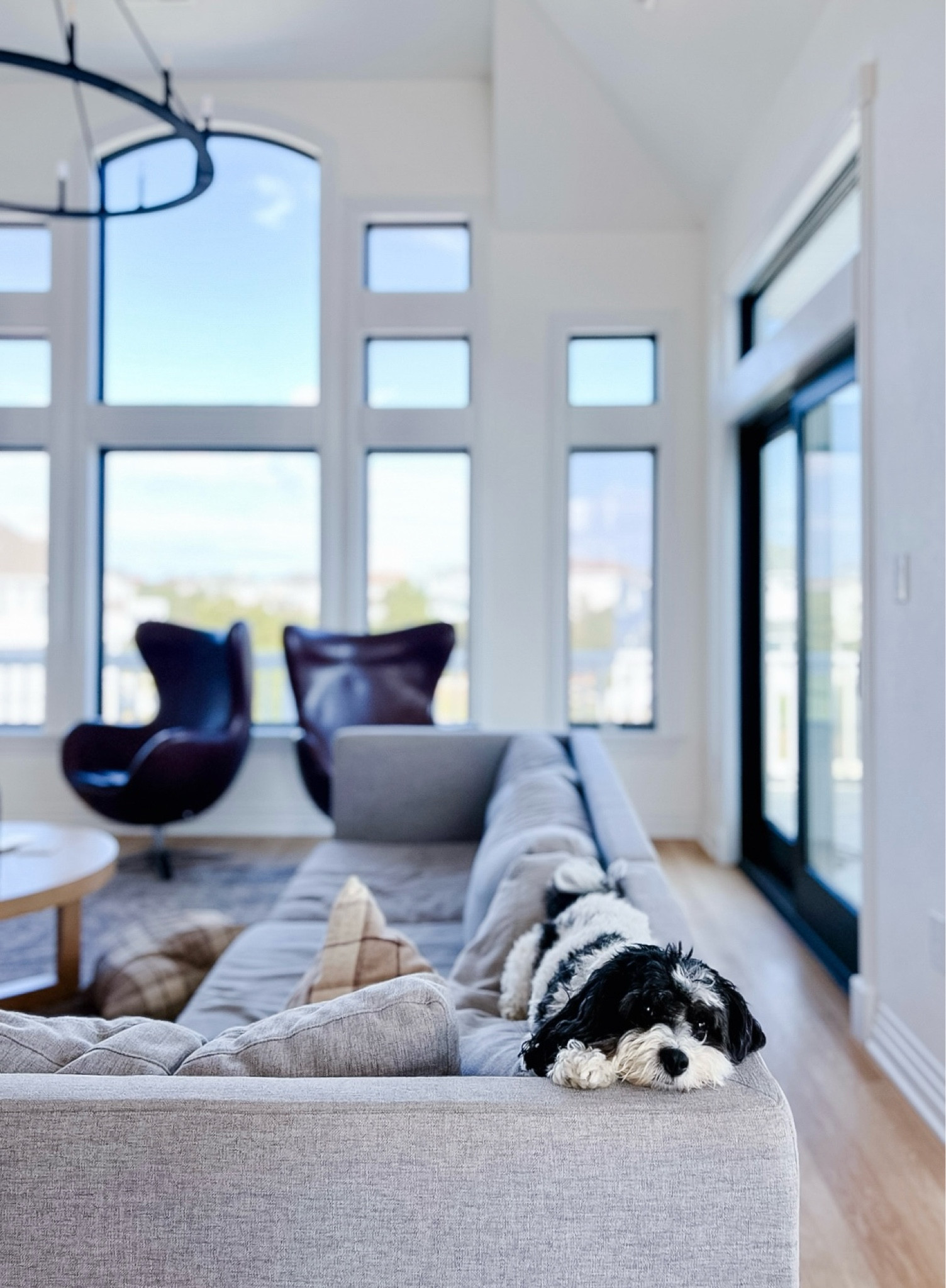 When it’s Friday and your mind’s on one of two things: Thanksgiving planning... or Black Friday deals?l🦃 🛍️ Scout’s got priorities, and they don’t include the week’s hustle. 💭 #WeekendVibes

Scout has his wishlist ready—check out my stories for his top picks!

——

#WeekendVibes  
#FridayFeels  
#CozyVibes  
#DogsofInstagram  
#DogLovers  
#BeachHouseVibes  
#DogLife  
#PetLove  
#WeekendMood  
#ScoutTheDog  
#DogsofInsta  
#PetGifts  
#ThanksgivingVibes  

#LTKHome #LTKCyberWeek #LTKHoliday