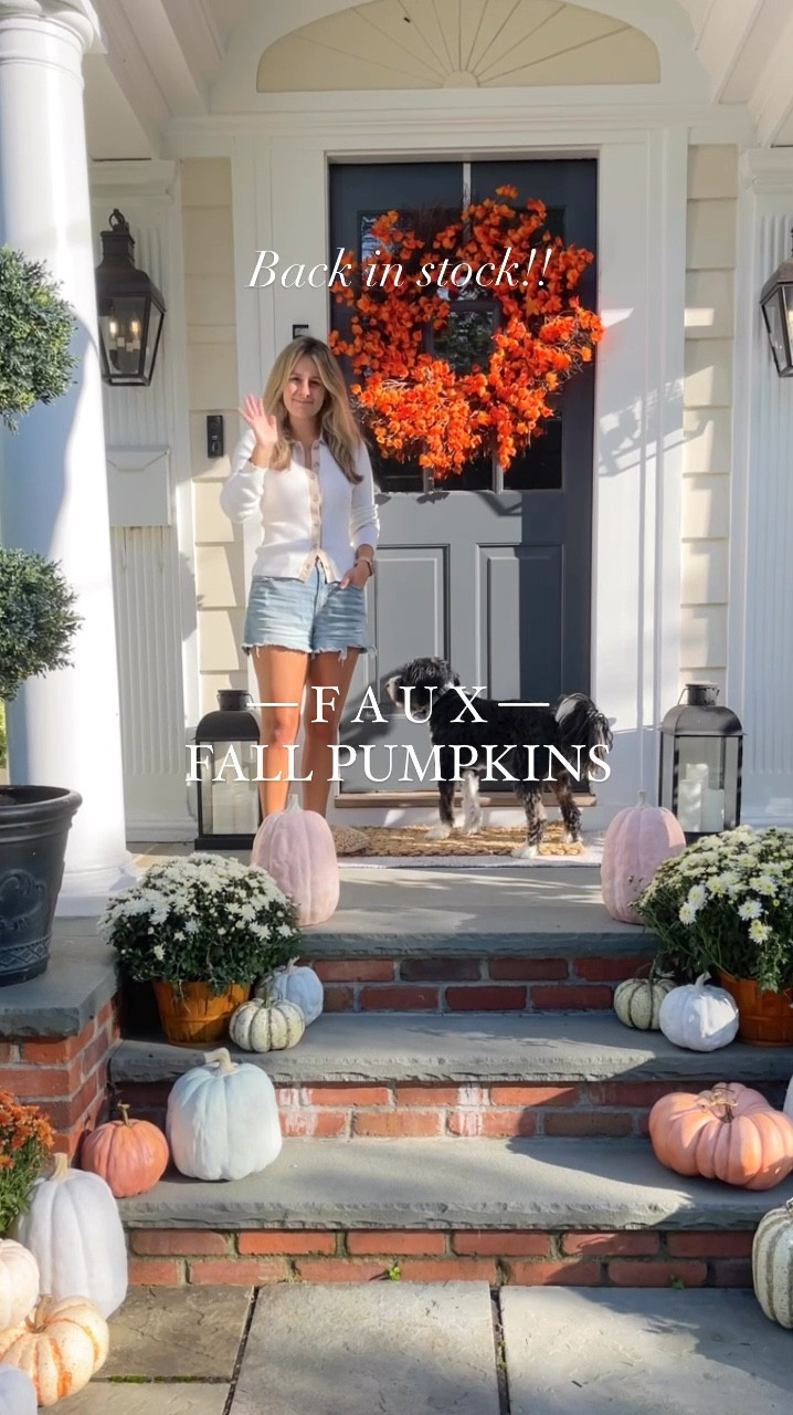 🚨Restock alert!!🚨 on my favorite realistic looking FAUX fall pumpkins! Plus they’re also on sale! 🙌🏻🍂

Styling your Fall porch is SO easy with these faux pumpkins!! I did a mix of large, medium and small sizes and orange & white and some green & white!! You really can’t go wrong!

Paired them with our Target faux pumpkins that are also back in stock for Both did amazing outside last year and I can’t wait to decorate soon for this season!! 🍂

P.s. our large fall wreath is from HomeGoods and I spotted some in store yesterday!! Linked a similar option 🤍

#LTKFallSale #LTKFindsUnder50 #LTKVideo