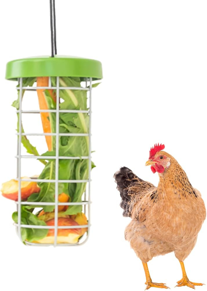 Omlet Caddi Chicken Treat Holder | Attaches Easily to Any Chicken Run | Durable and Practical | F... | Amazon (US)