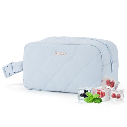 Cerbonny Reusable Lunch Bag, Small Cooler for Work School Travel, Insulated Snack Bag, Mini Cooler, Light Blue | Amazon (US)