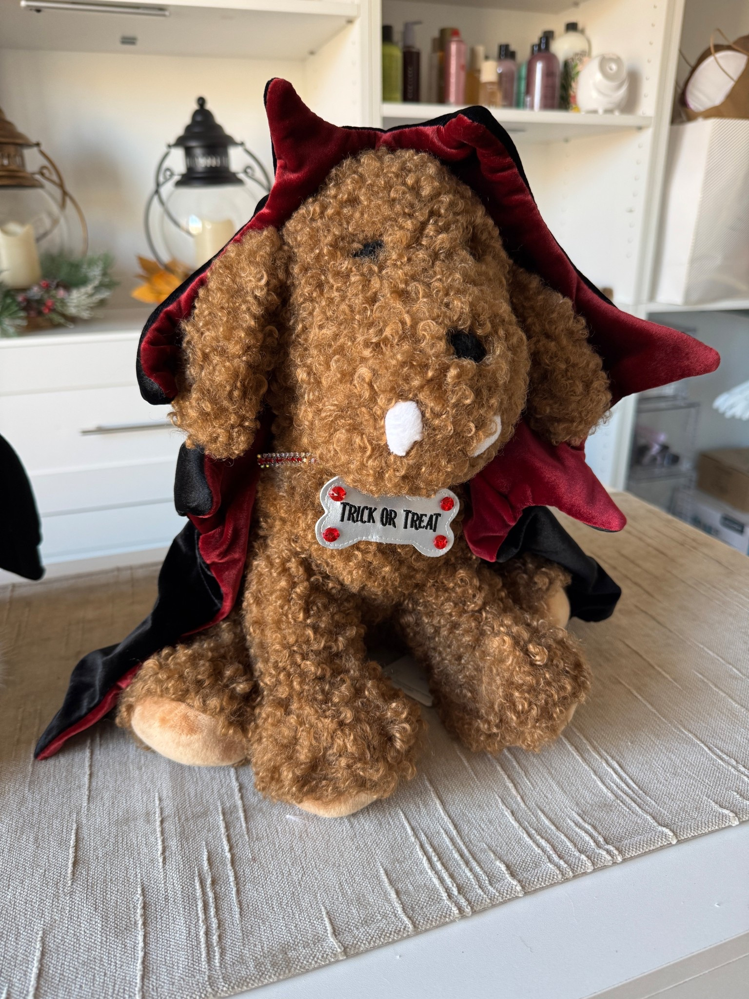 Add a touch of whimsy to your Halloween setup with this Dracula dog pillow. With its plush design, mini cape, and fang detail, Dante brings the charm — not the fright. Perfect for seasonal shelves, couches, or spooky styling. #HalloweenDecor #VampireDogPillow #PotteryBarnHalloween 