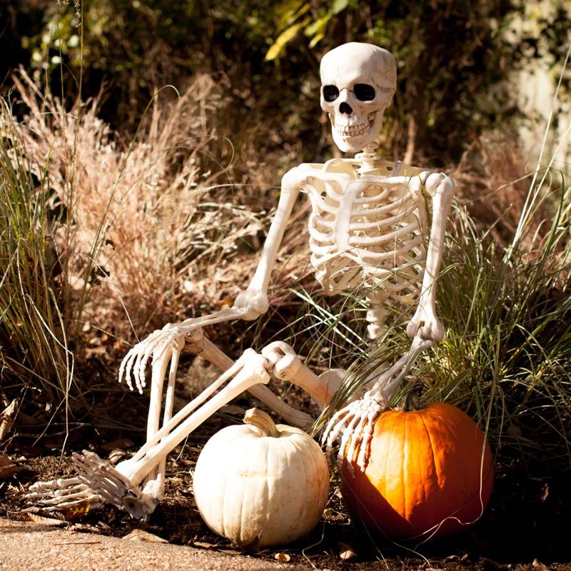 The Holiday Aisle® Pose-N-Stay Skeleton & Reviews | Wayfair | Wayfair North America