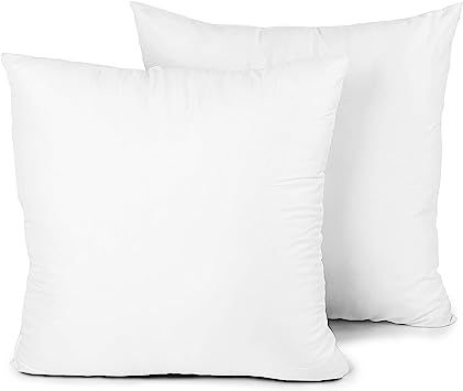 EDOW Throw Pillow Insert, Set of 2 Down Alternative Polyester Square Form Decorative Pillow, Cush... | Amazon (US)