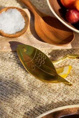 Here's How Stevie Fish Citrus Juicer | Anthropologie (US)