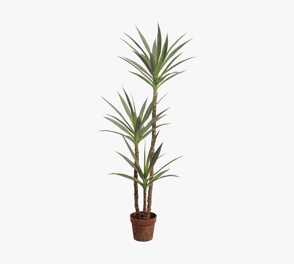 Faux Yucca Tree In Pot | Pottery Barn (US)