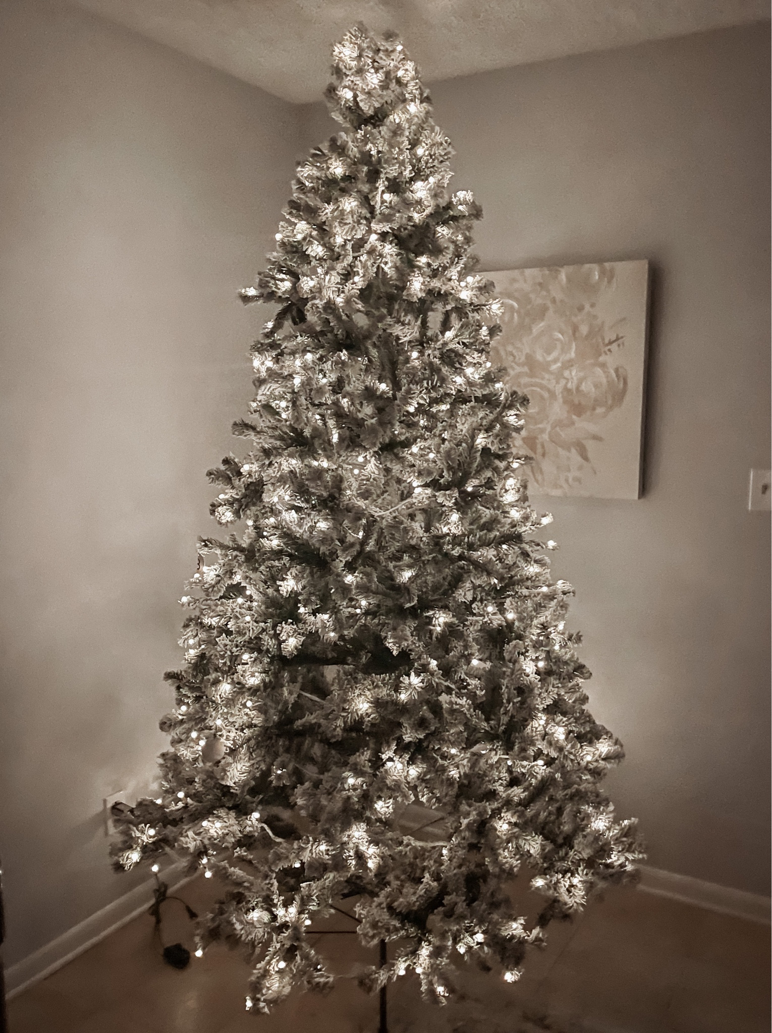 My favorite Christmas Tree 



#LTKGiftGuide #LTKSeasonal #LTKHoliday
