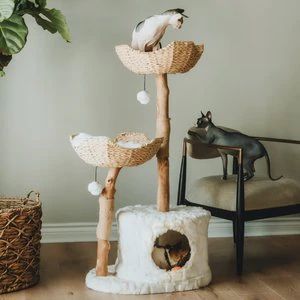 Mau Lifestyle Cento 46-in Modern Wooden Cat Tree & Condo | Chewy.com
