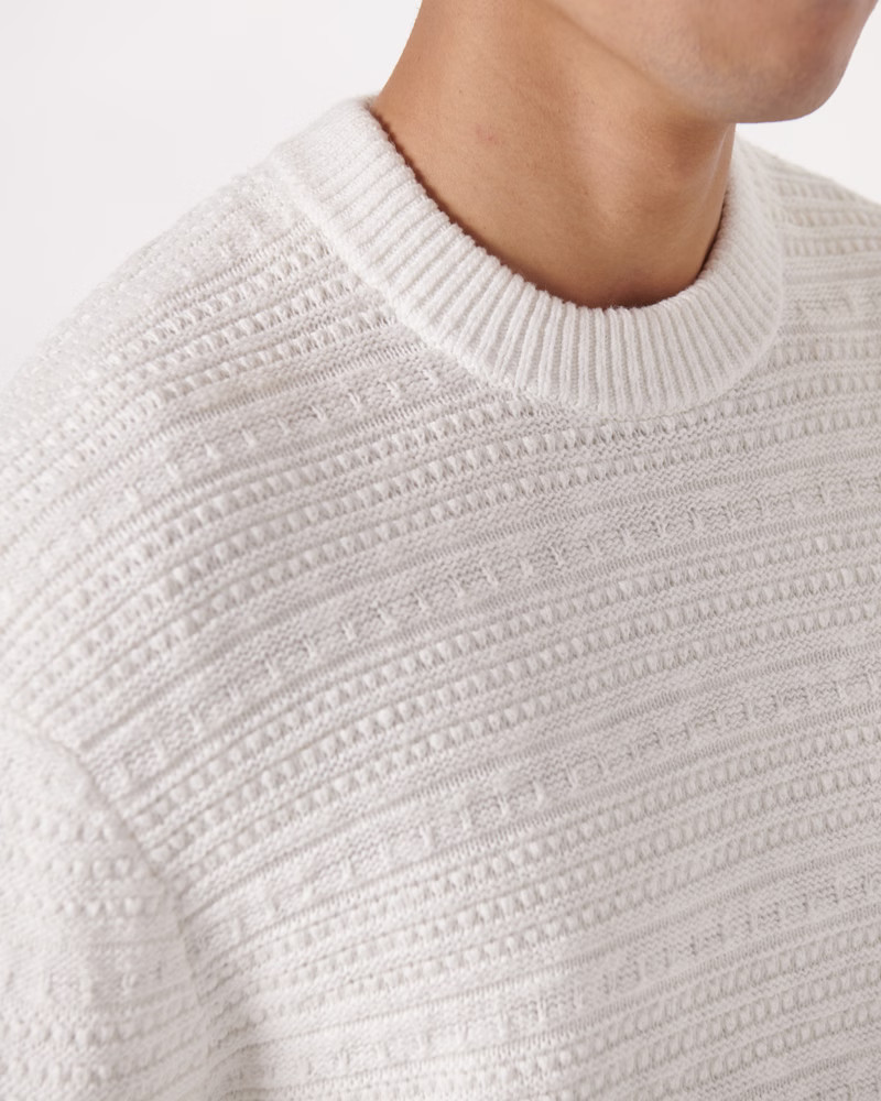 Textured Stitch Crew Sweater | Abercrombie & Fitch (US)