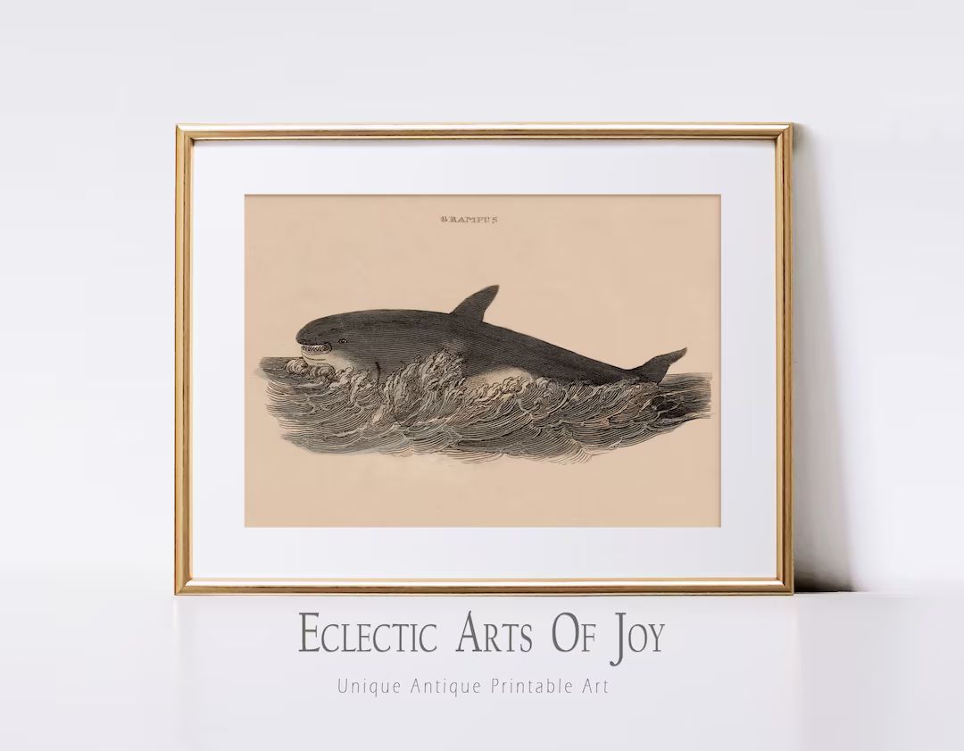 Antique Whale Wall Art | Aquatic Whale Print | Sea Life Wall Decor | Marine Print | Instant Digit... | Etsy (US)