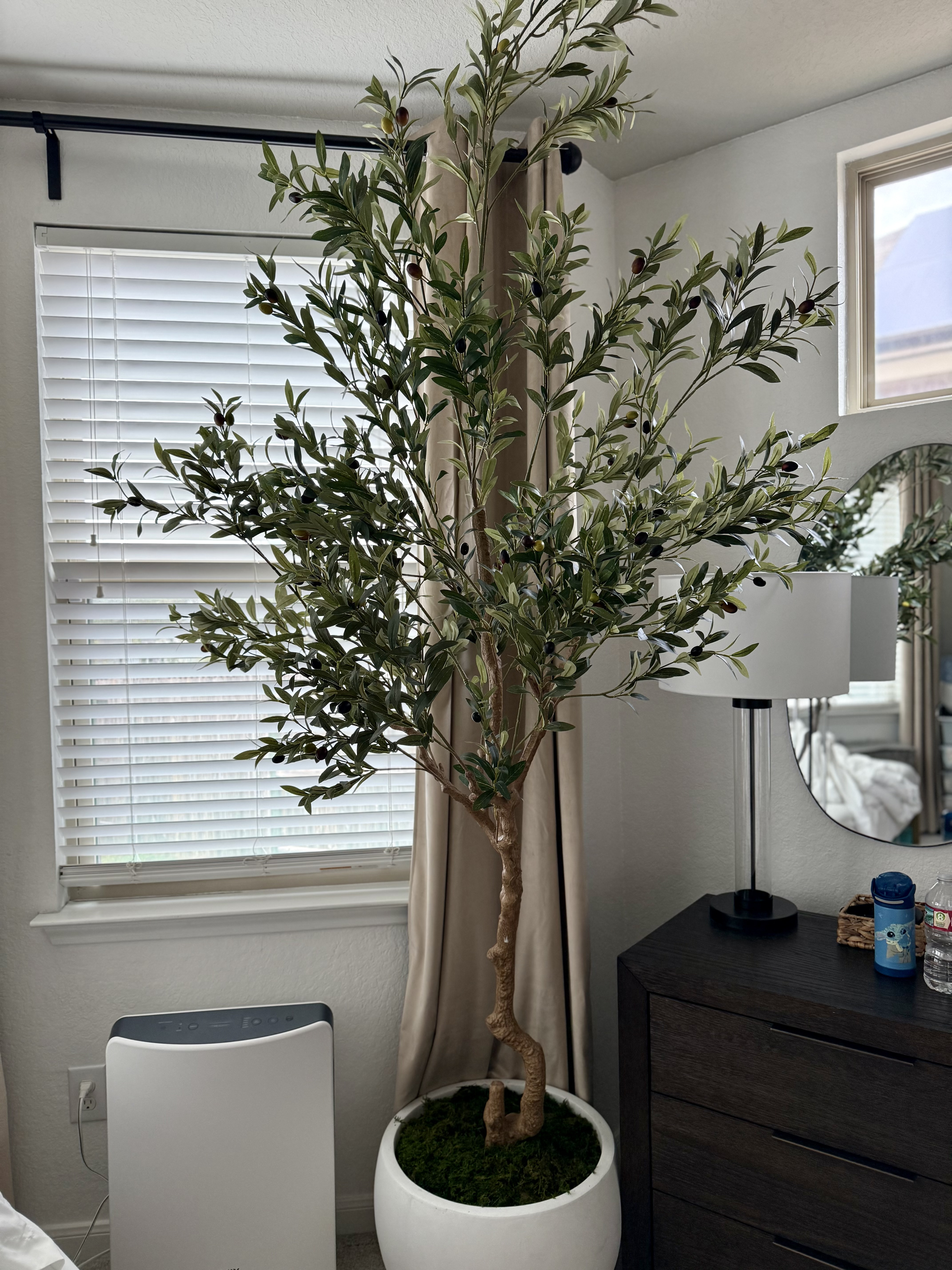 8ft Olive tree 🫒 #amazonhomefinds

#LTKGiftGuide #LTKHome