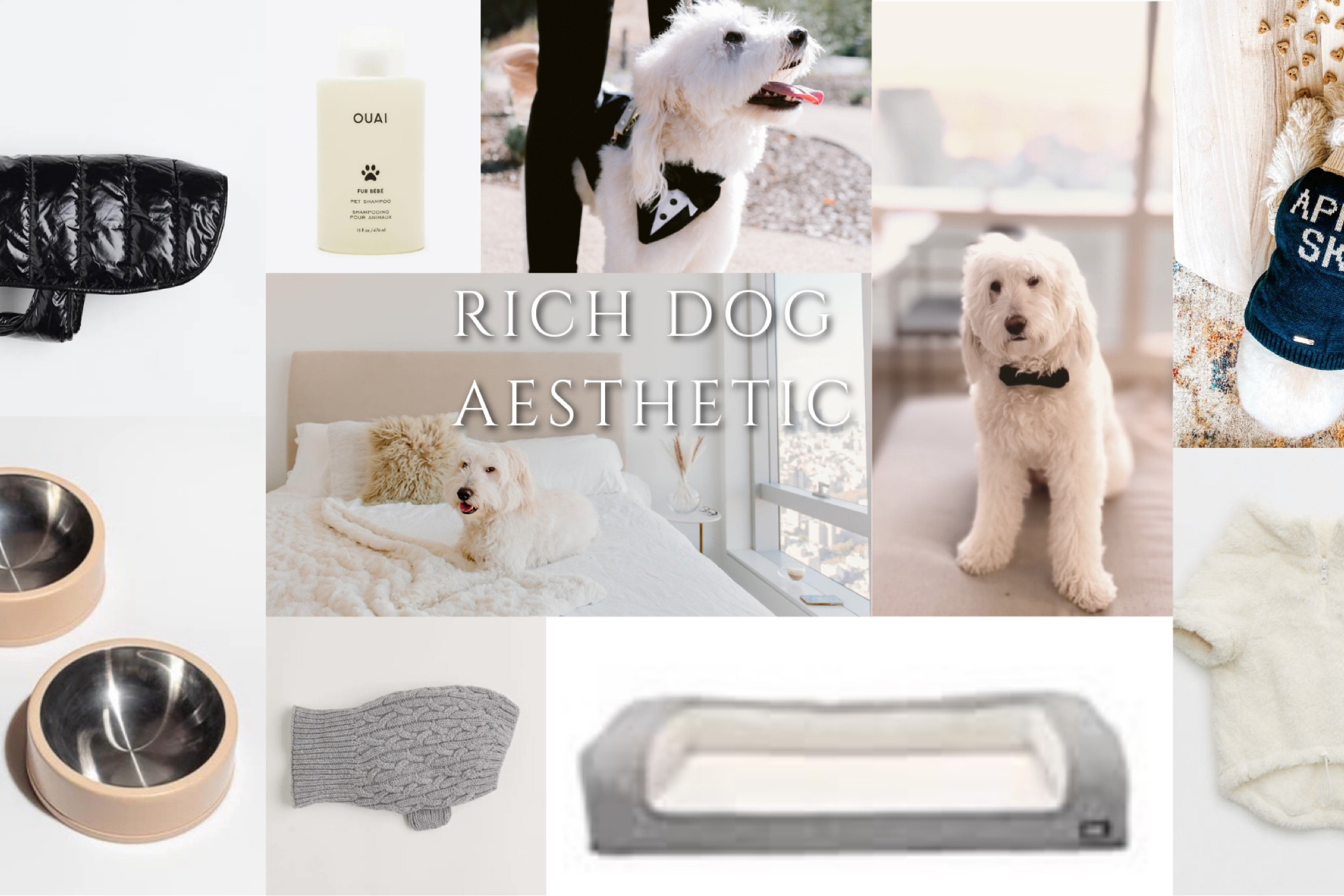 aesthetic dog accessories, rich dog aesthetic, gift guide for your dog, where to find dog sweaters, dog bowls, dog grooming products, dog beds, dog tuxedo wedding

#LTKGiftGuide #LTKwedding #LTKunder100