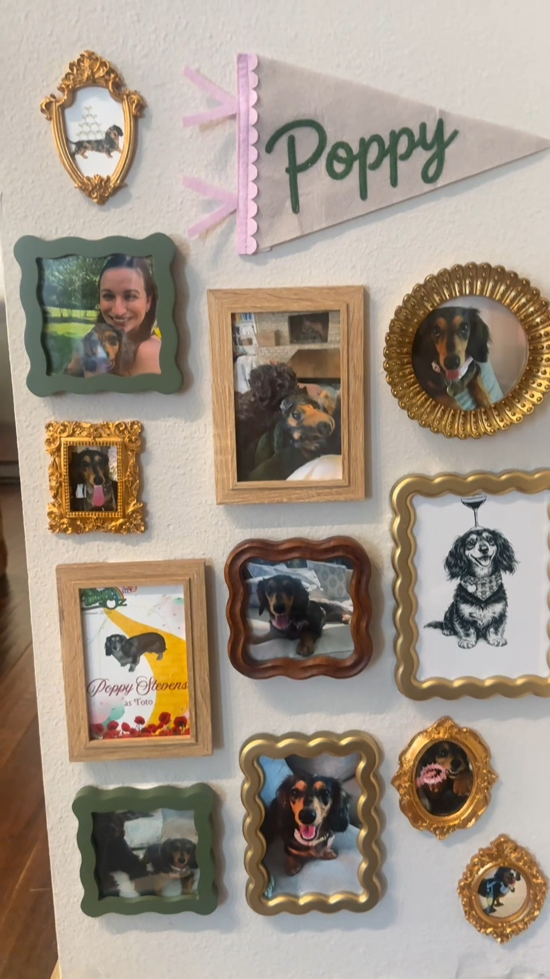 Can you tell I’m obsessed with my dog? 😂🐾 

Because apparently Poppy needed her own little gallery wall… right above her food, of course.

#LTKHome