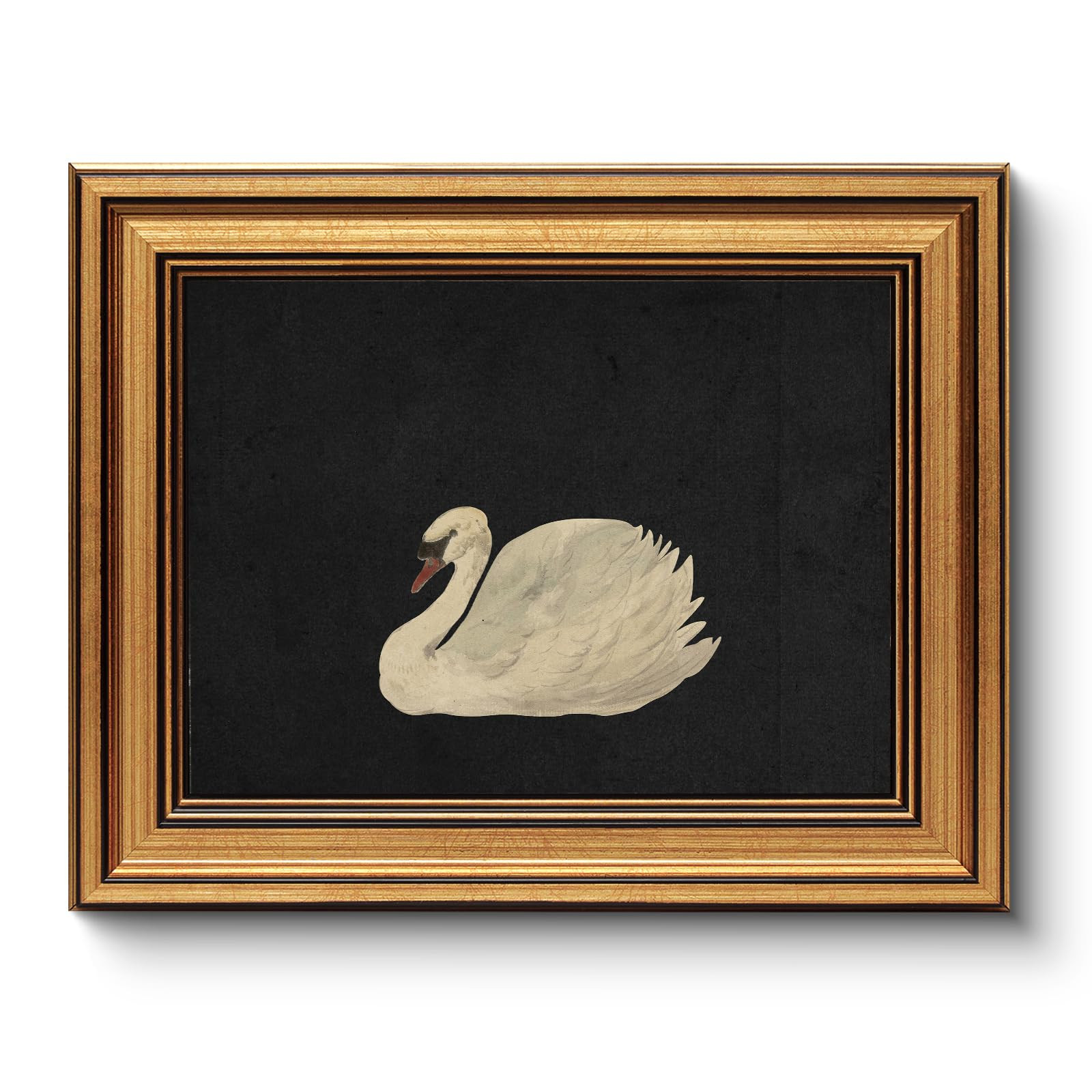 HUARCEY Gold Framed Vintage Wall Art for Living Room, Grace Swan Art Painting Pictures Rustic Ani... | Amazon (US)