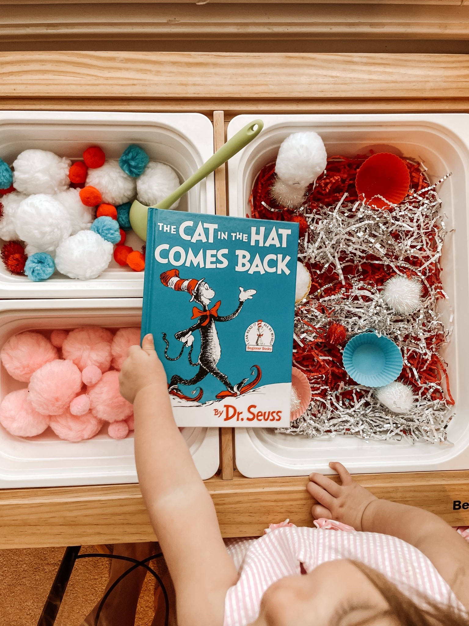 Book themed sensory table! 


Amazon, kids, toddler, family, toys, fun, trending, viral, budget, affordable, activities, homeschoolling

#LTKFindsUnder50 #LTKKids #LTKFamily