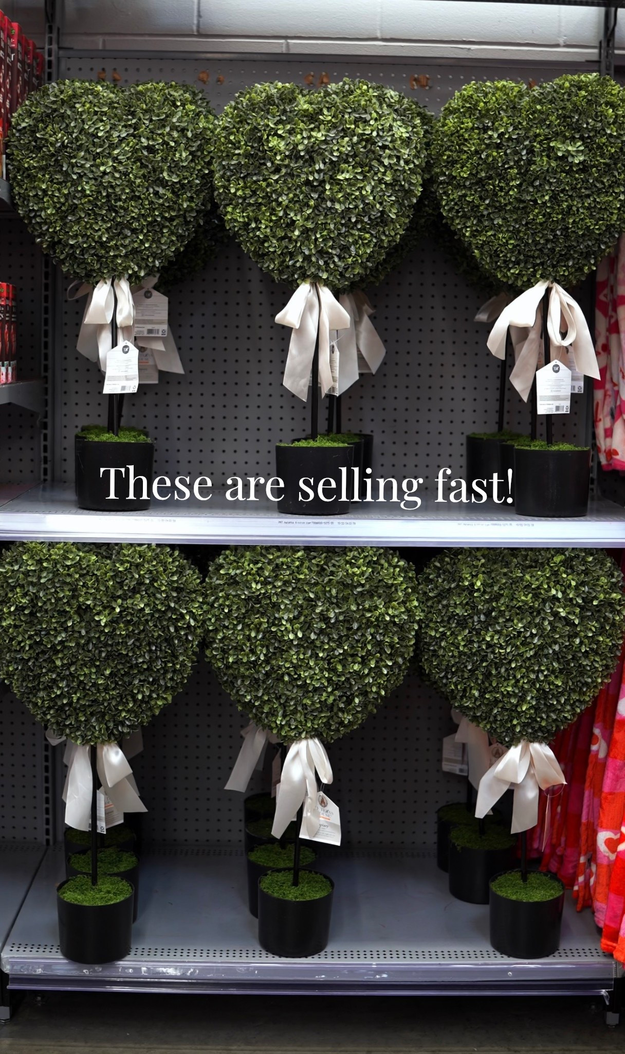 My Texas house heart topiary ❤️

#LTKSaleAlert #LTKHome #LTKSeasonal