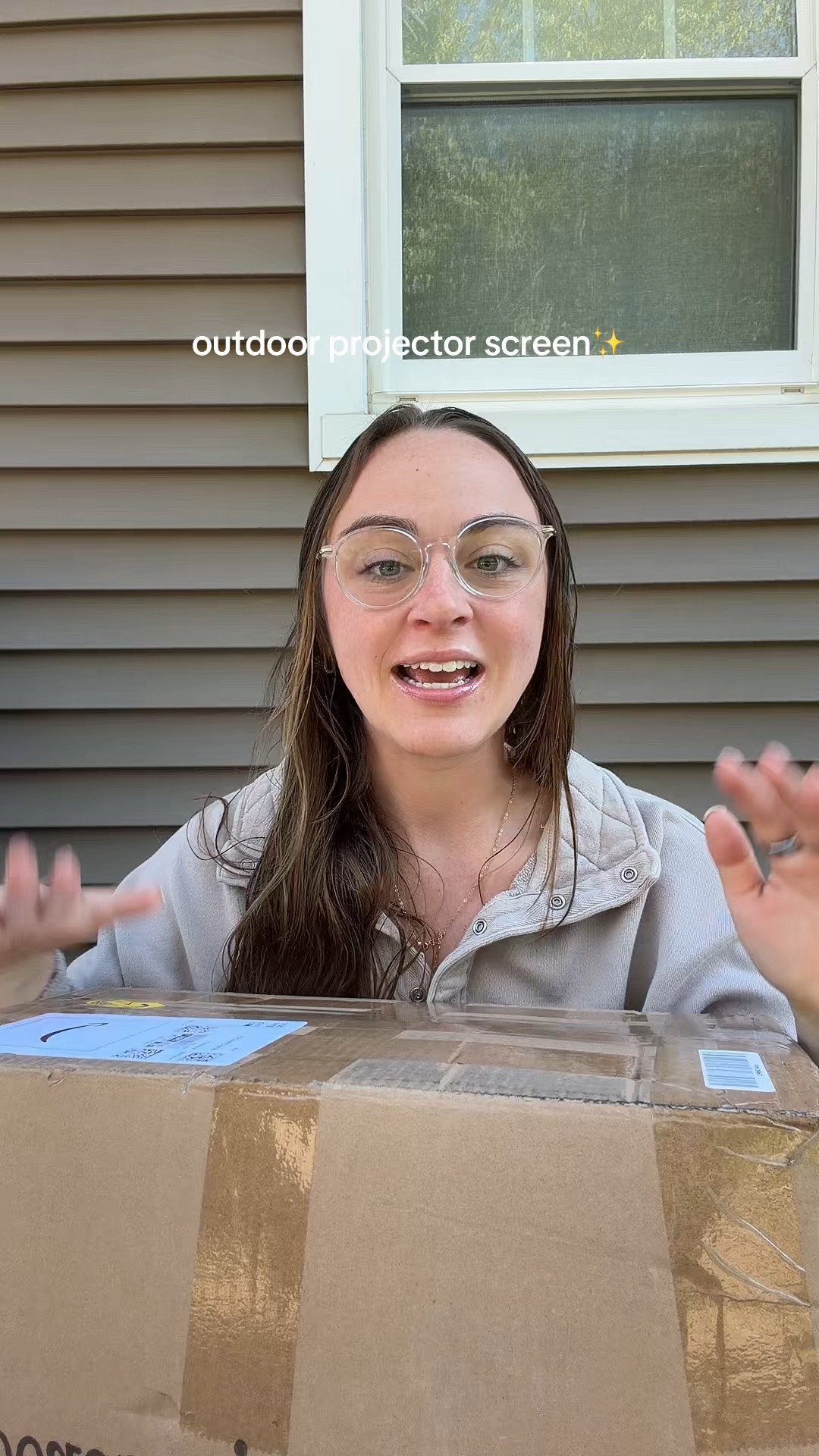 outdoor protector screen and projector