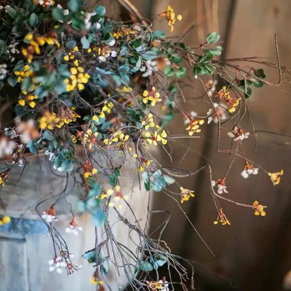 RusticReach Artificial Colorful Baby's-Breath Vine Stem 27" Tall | Bed Bath & Beyond