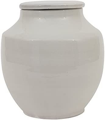 Amazon.com: Creative Co-Op Small Round White Terracotta Cachepot, 8 Inch: Home & Kitchen | Amazon (US)