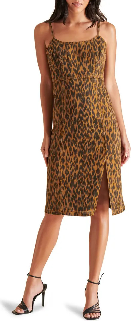 Giselle Leopard Print Denim Dress | Nordstrom