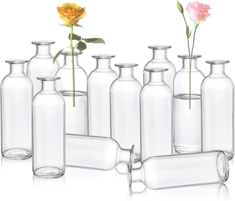Peohud Set of 12 Glass Bud Vases, Clear Small Flower Vases, Decorative Glass Bottles Floral Vases... | Amazon (US)