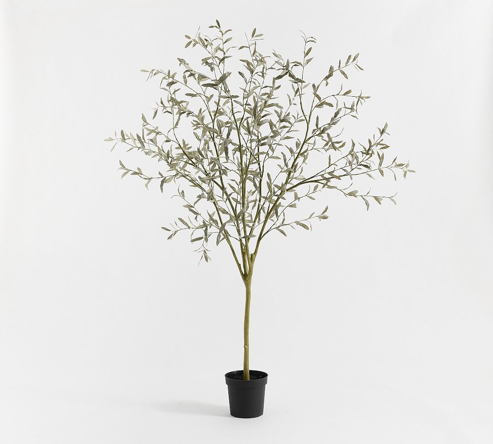 Faux Potted Faded Olive Tree | Pottery Barn (US)