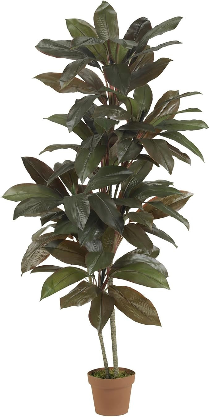 Nearly Natural 5ft. Cordyline Silk Plant (Real Touch) | Amazon (US)