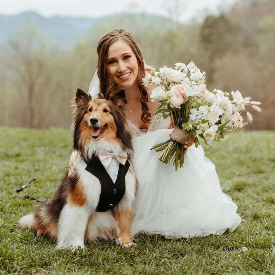 Tuxedo Dog Harness, Dog Suit Harness, Wedding Dog Harness, Dog Ring Bearer, Dog Wedding Attire, A... | Etsy (US)