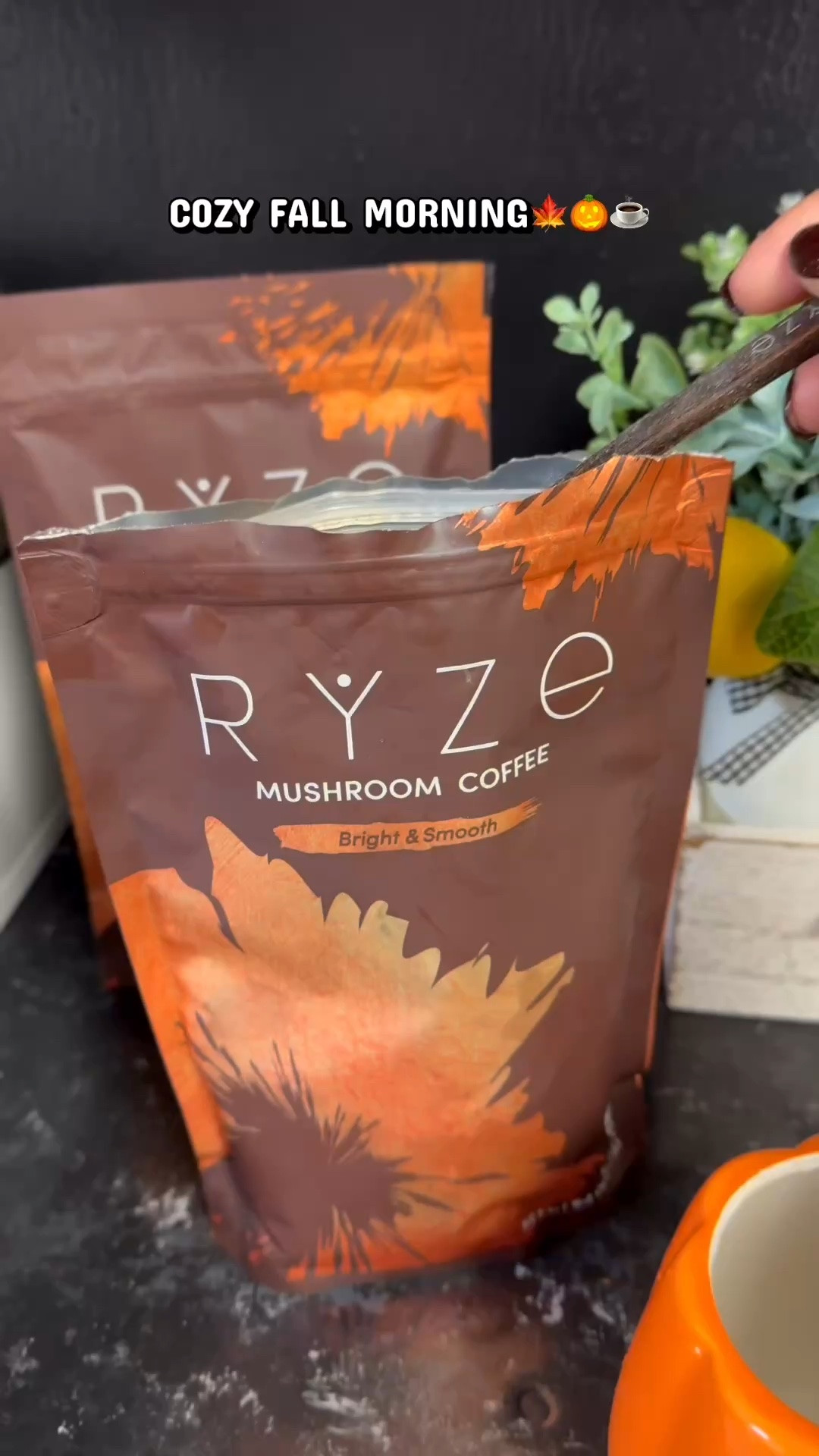 MY COZY FALL MORNINGS START WITH RYZE MUSHROOM COFFEE! ☕️🍂🤎

A COFFEE THAT’S DELICIOUS AND PART OF MY MORNING ROUTINE?! YES, PLEASE! I love starting my day with RYZE, and I add milk for an extra boost of protein and calcium! 🤎

Cozy mornings, a good cup of coffee and a little time for ME! 🍁✨

🛍️ I LINKED MY RYZE MUSHROOM COFFEE ON MY LTK! GO SHOP MY PICKS!

#RYZE #MushroomCoffee #CozyFallMornings #LTKFinds