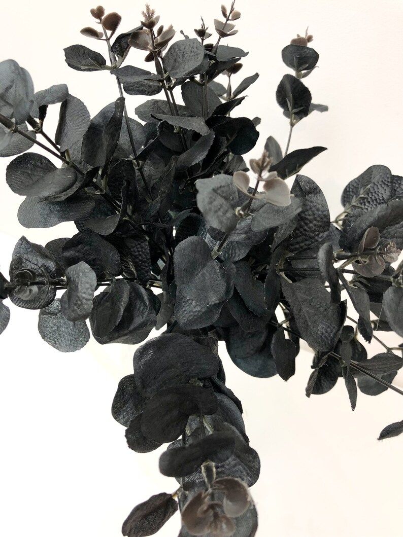 Artificial Black Eucalyptus  20 Stems Total per Bouquet - Etsy | Etsy (US)