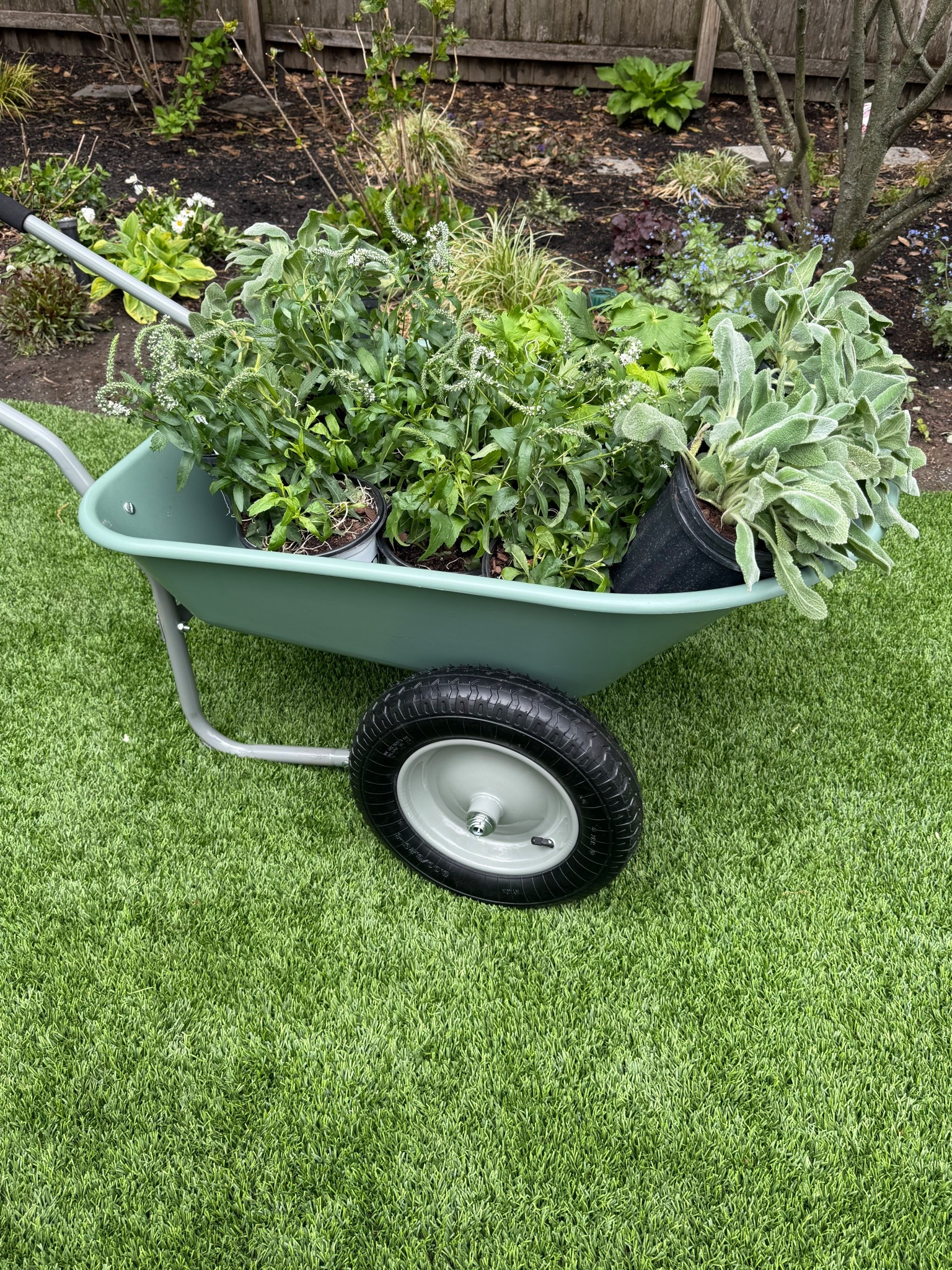 This wheelbarrow is a must for gardening and under $100! Plus it’s cute and comes in a bunch of colors… 

Backyard, spring, outdoor decor, backyard inspo, GIRLONTHEHUDSON, backyard inspo, summer inspo, backyard design, gardening

#LTKSeasonal #LTKHome #LTKdayinmylife
