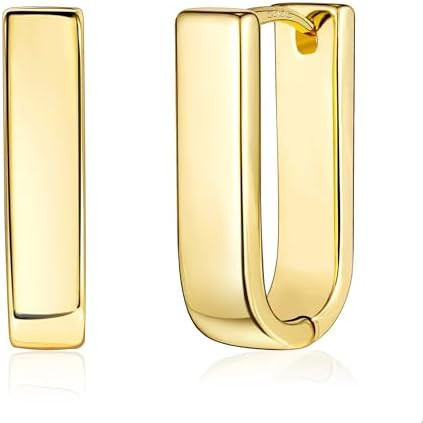 ALEXCRAFT 925 Sterling Silver Earrings for Women Trendy Hypoallergenic Silver Hoop Earrings State... | Amazon (US)