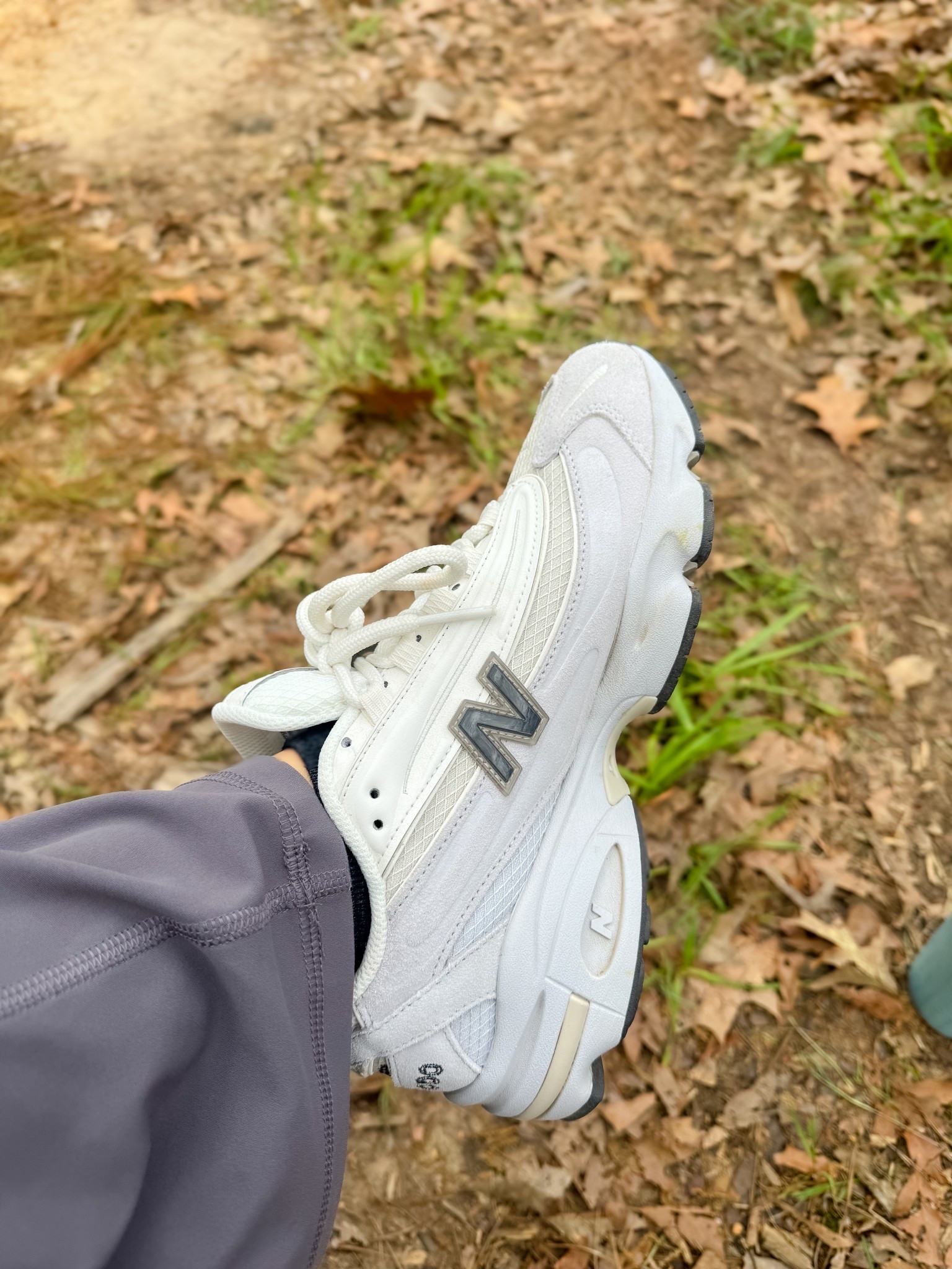 New sneakers 👟 

#LTKootd #LTKActive