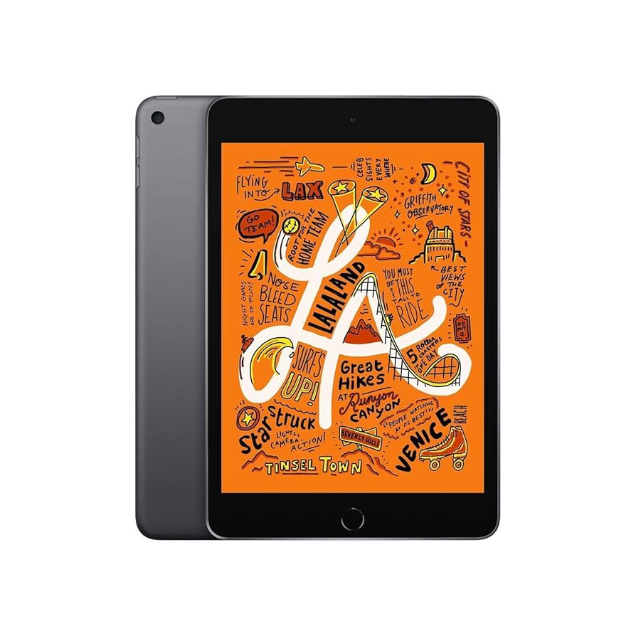 Apple iPad Mini, 5th Gen (Wi-Fi, 64GB) - Space Gray (Renewed) | Amazon (US)