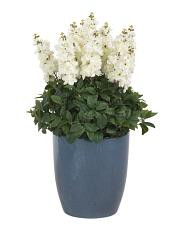 36in Outdoor Covered Porch Safe Faux Hyacinth In Ceramic Planter | TJ Maxx