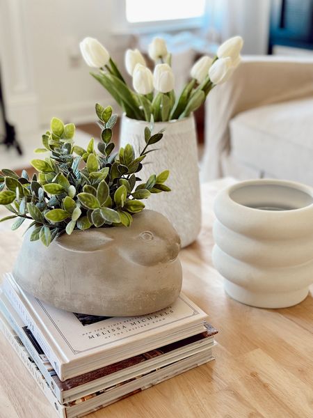 Spring home decor // Amazon home // Living room // Coffee table // Modern farmhouse // Amazon must haves // #LTKFind // #LTKunder100 // #LTKunder50 // @amazon

#LTKFind #LTKstyletip #LTKhome