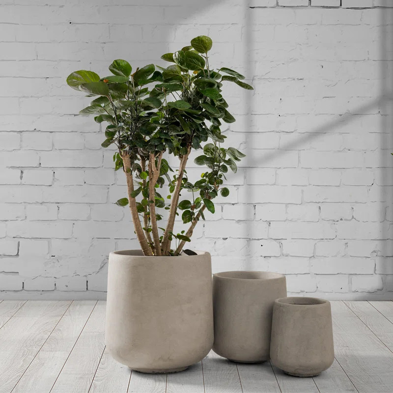 Kante Round Concrete Planters, Outdoor Indoor Pots Containers with Drainage Holes Set | Wayfair North America