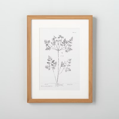 12" x 16" Floral Chervil Wall Art - Hearth & Hand™ with Magnolia | Target