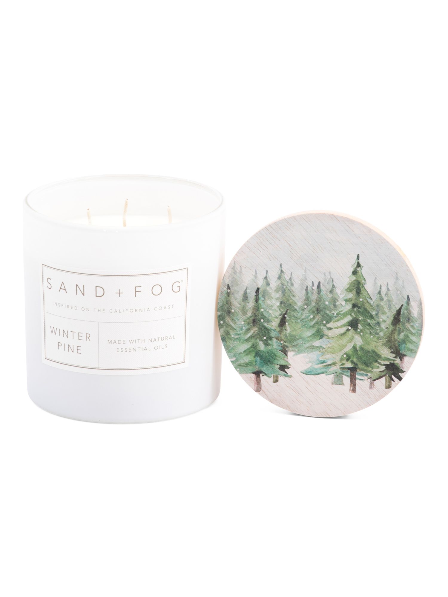 21oz Winter Pine Candle | TJ Maxx