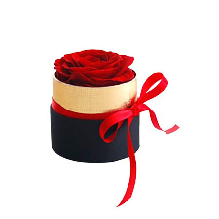 snorda Dired Roses Bouquet Flower Romantic Gift Valentine's Day Birthday Gift Box | Walmart (US)