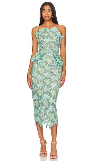 Vinyles Midi Dress in Mint | Revolve Clothing (Global)