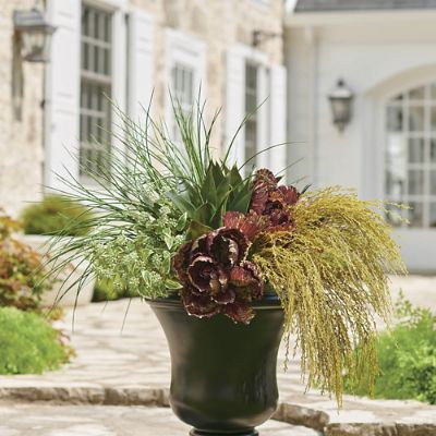 Grass Land Urn Filler | Grandin Road | Grandin Road