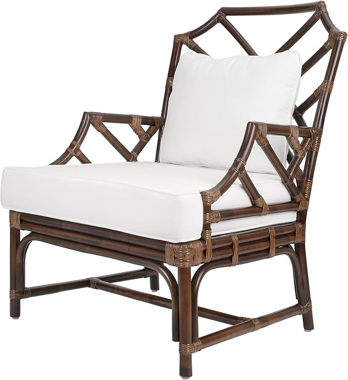 New Pacific Direct Kara 17.5" Rattan and Cotton Accent Arm Chair in Paloma Brown | Amazon (US)