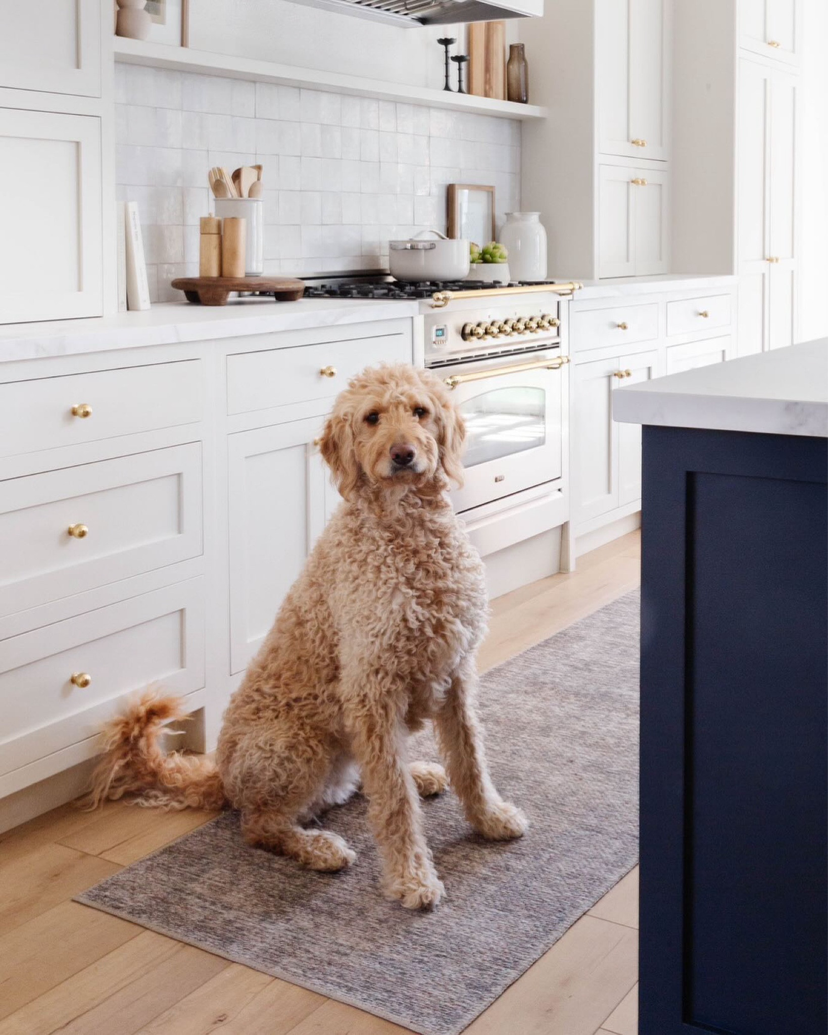 Use code PEGGYH15 for 15% off all full-price items at Scout & Nimble! | Project Meadowbrook Kitchen | Have you seen the stunning transformation of the #ProjectMeadowbrook kitchen yet? The bright, airy off-white kitchen blends California Casual vibes with European elegance—perfect for this family of six!

Head to the blog for before & after photos & the inspiration behind the design! You’ll find all the details on how we opened up the space, added symmetry, and brought in high-contrast cabinetry and timeless design elements. Plus, you can shop the look to bring this beautiful style into your own home!

Design //@peggyhaddadinteriors
Photography //@karadeyoung

#KitchenDesign 
#BeforeAndAfter 
#CaliCasual 
#EuropeanElegance 
#ProjectMeadowbrook 
#ShopTheLook
#peggyhaddadinteriors
#howihaven
#mycovetedhome
#inmydomaine
#howyouhome
#howwedwell
#mydomaine
#houseenvy
#inspotoyourhome
#ruedaily
#homesweethome
#interiorstyle
#interiorstylingideas
#interiorlovers
#homestyle
#homerenovation
#homeinspiration
#housegoals
#interiordesign