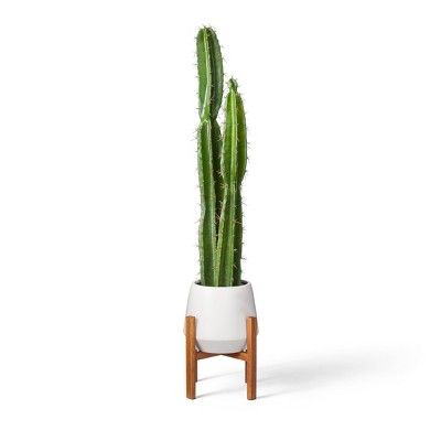 47" x 11" Faux Cactus Plant with Wood Stand Planter White - Hilton Carter for Target | Target