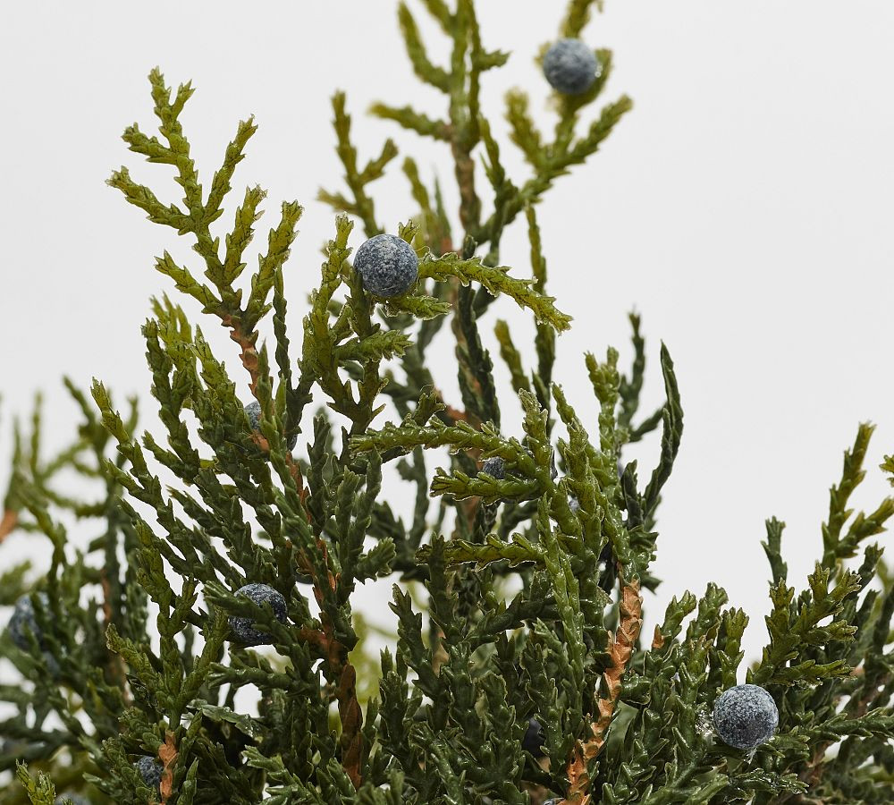 Faux Juniper Clippings Bundle | Pottery Barn (US)