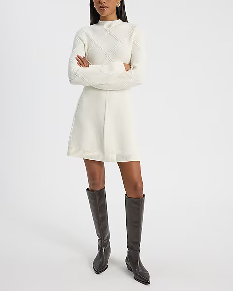 Mock Neck Long Sleeve Mini Fit And Flare Sweater Dress | Express