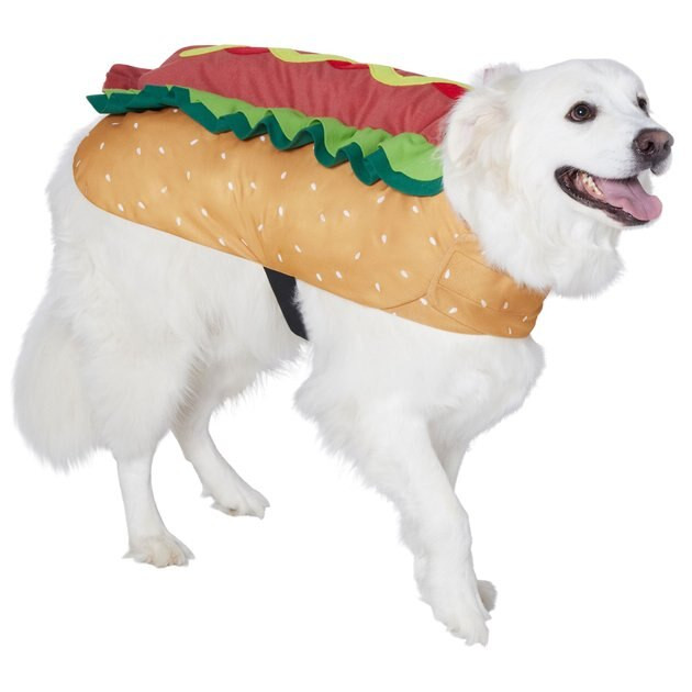 FRISCO Hotdog Dog & Cat Costume, XXX-Large - Chewy.com | Chewy.com