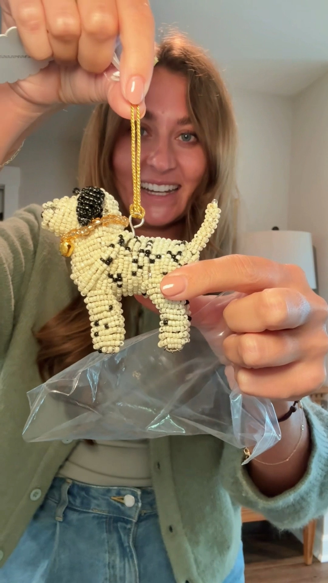 Dalmatian haul! 

#LTKPets #LTKHome #LTKFindsUnder100